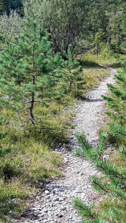 Foto Genussvolle Wege im Fichtelgebirge