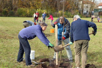 Obstbaumpflanzaktion St. Georgen